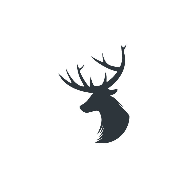 鹿的载体-公司标志