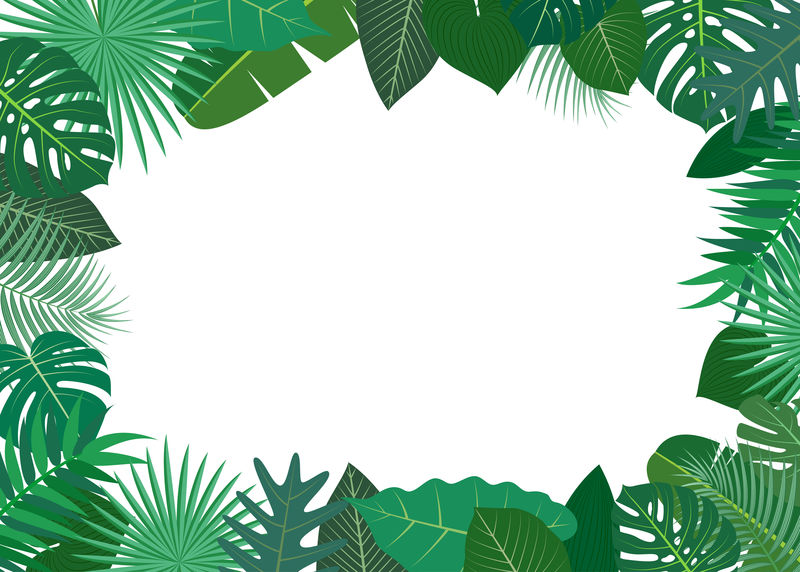 绿色热带树叶矢量框架图