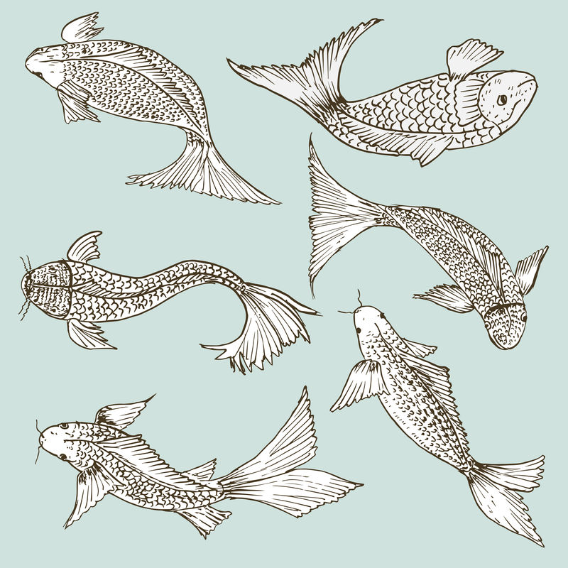 一套手绘鱼健康食品图纸集矢量