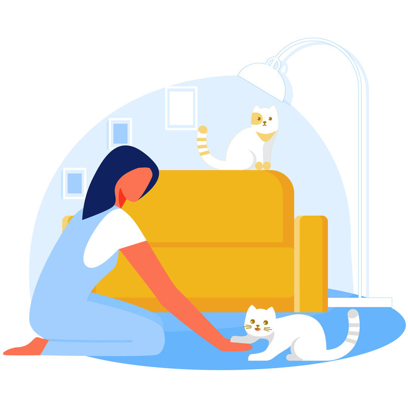女人在客厅里和猫玩放松点矢量