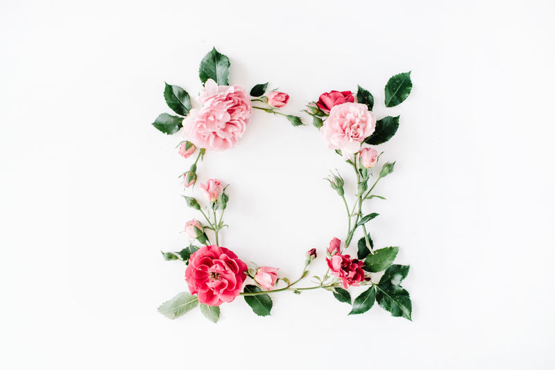 圆形框架花环图案-白色背景上独立的玫瑰、粉色花蕾、枝叶-平放俯视图
