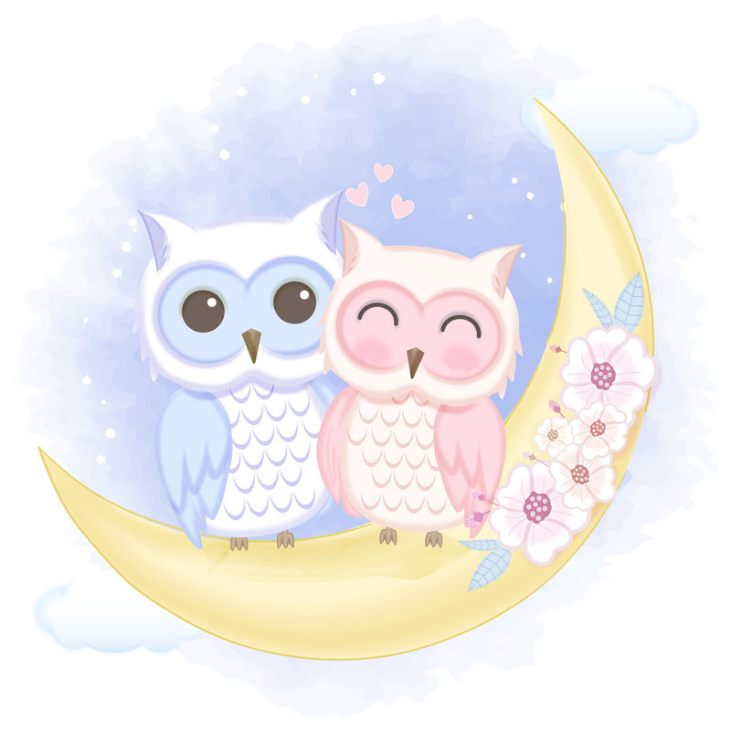 月亮上可爱的情侣猫头鹰手绘卡通水彩插图