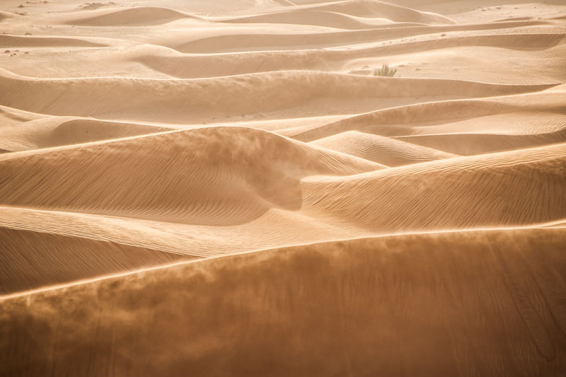 沙漠中的风沙