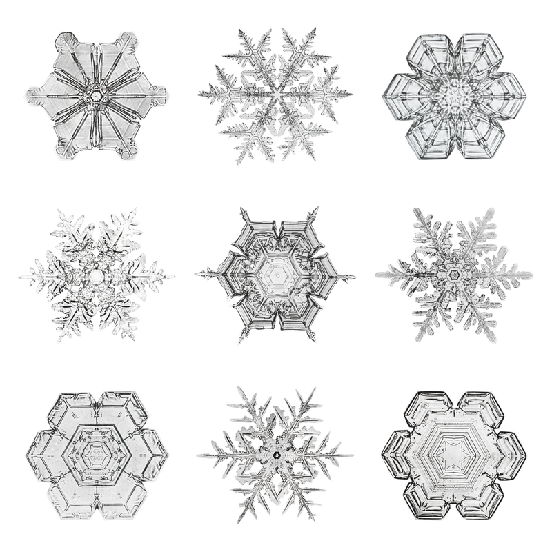 圣诞雪花png集宏观摄影威尔森·本特利艺术混搭