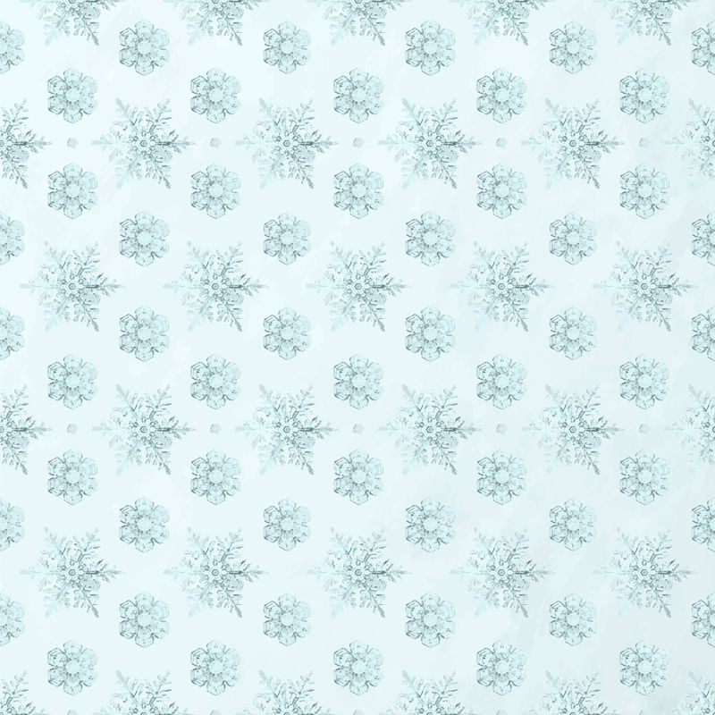 冬季雪花无缝图案背景矢量威尔森·本特利摄影混音
