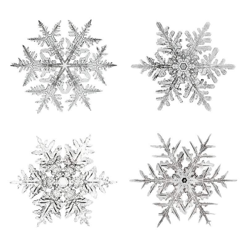 冰天雪地png集宏观摄影威尔森·本特利的艺术混搭