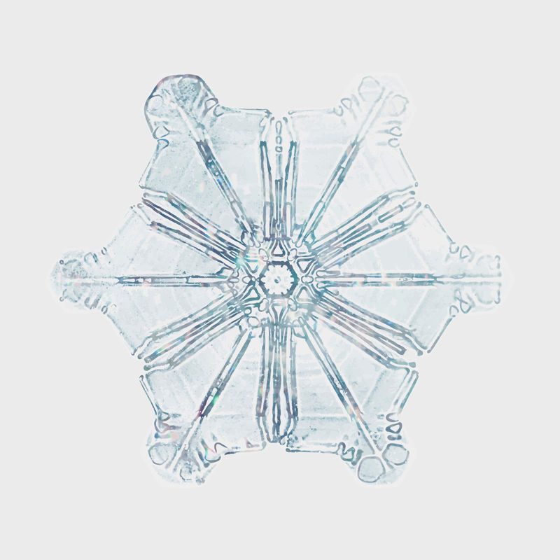 冰雪矢量微距摄影威尔森·本特利的混合艺术