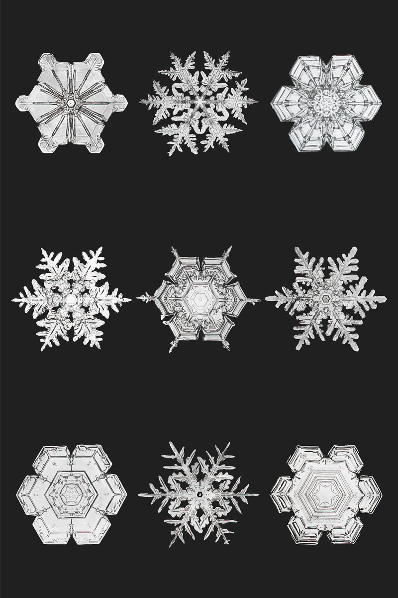 冬季雪花矢量宏观摄影集威尔森·本特利的艺术混搭