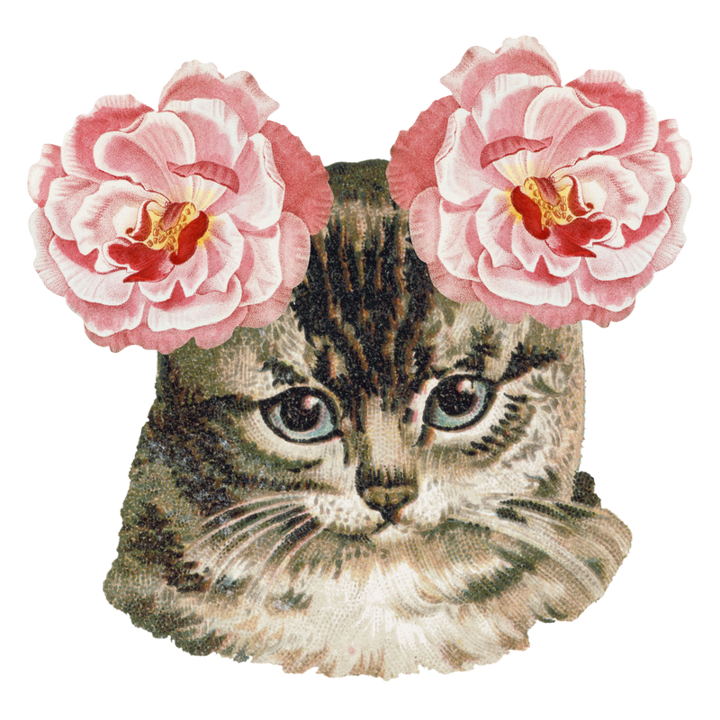 手绘可爱的猫耳朵上挂着玫瑰