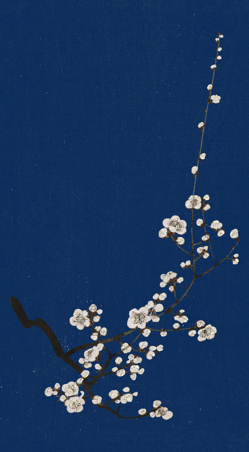 传统的日本梅花边框psd元素由渡边胜泰原版印刷的艺术品混合而成