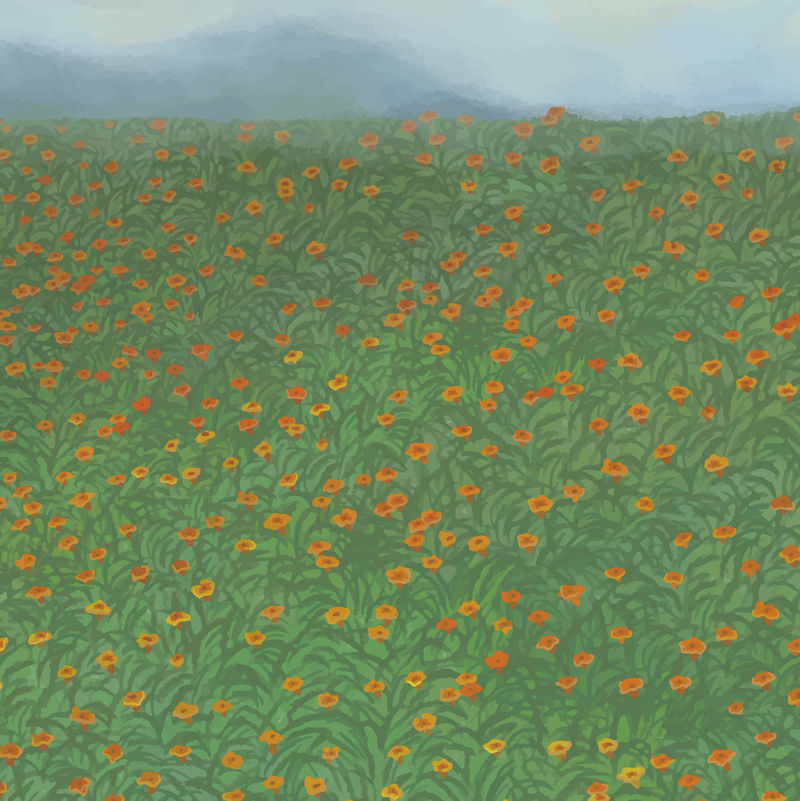 山上盛开的红色罂粟园背景向量