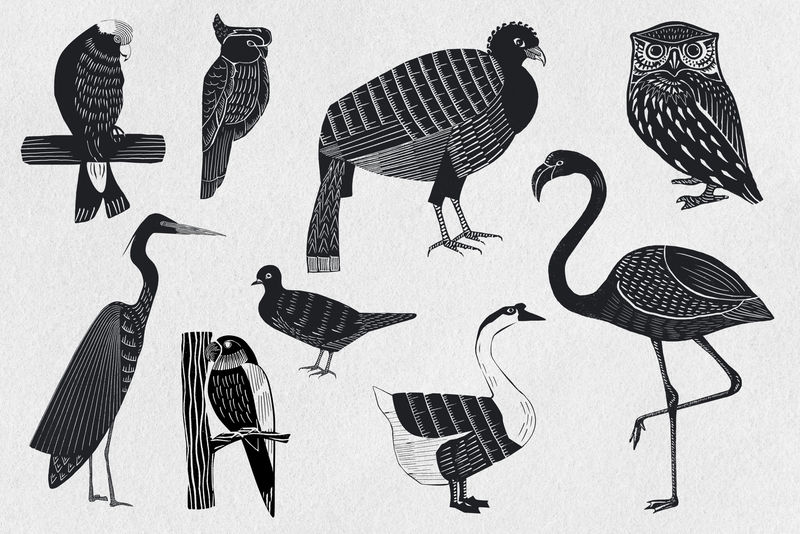 鸟类psd黑色linocut模具图案图纸集