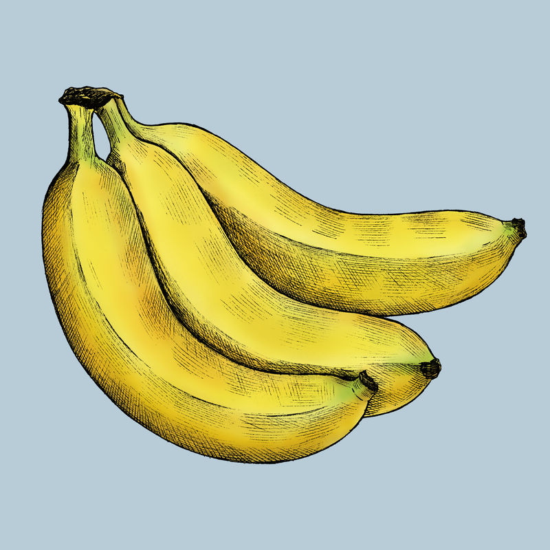 蓝色背景插图上的成熟新鲜香蕉