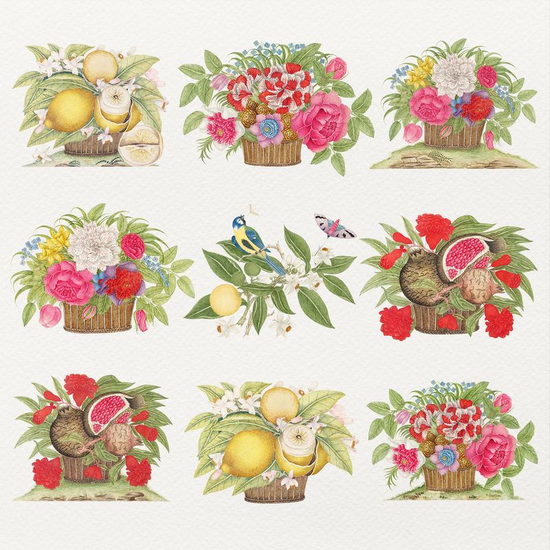 复古花篮和水果插图集从18世纪的艺术作品从史密森档案混合