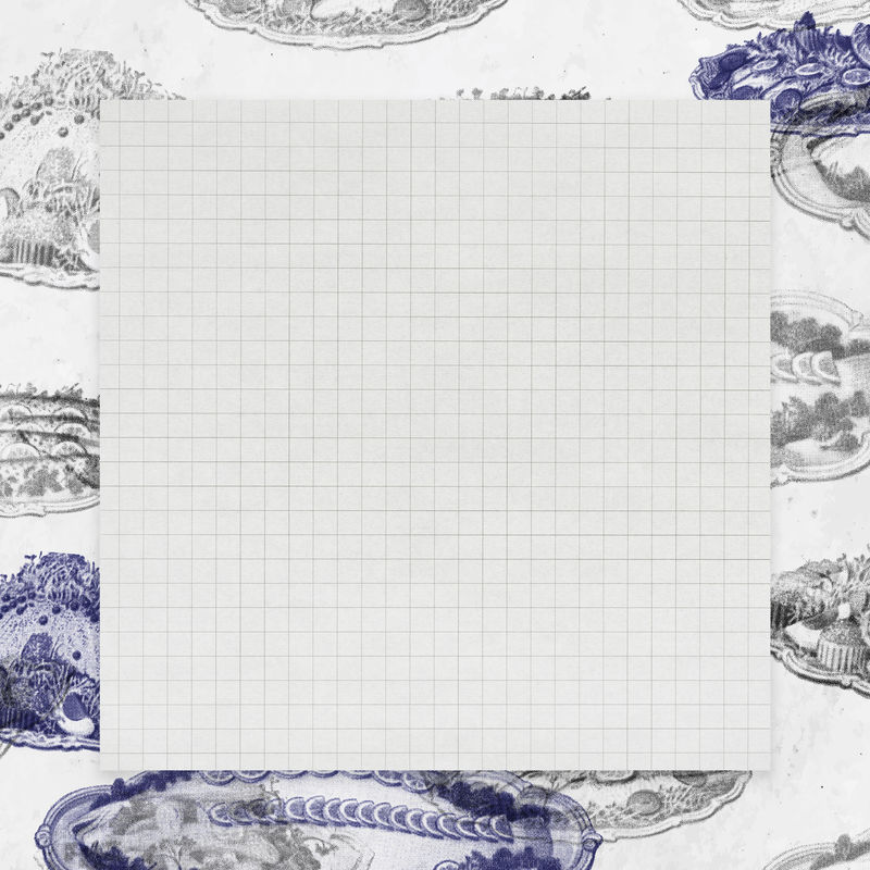 海鲜菜肴框架上的网格图案的背景