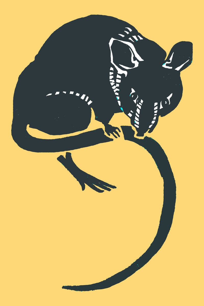 黑鼠媒介动物复古利诺科特风格