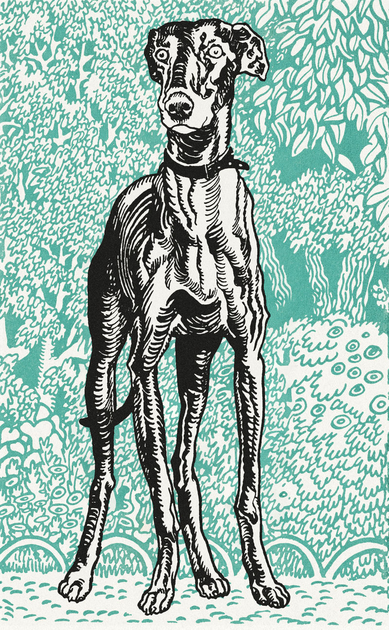 复古灰狗插图psd从莫里兹容格的艺术作品混合