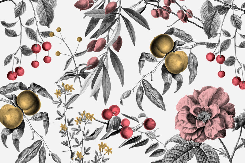复古玫瑰图案粉色植物和水果插图