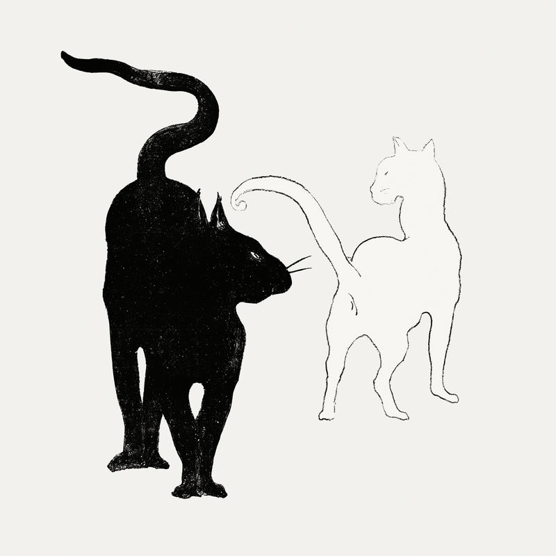 复古黑猫插图由艺术作品混合而成\u0026Eacute；douard Manet