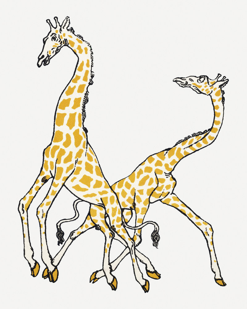 复古长颈鹿插图psd从莫里兹容格的艺术作品混合