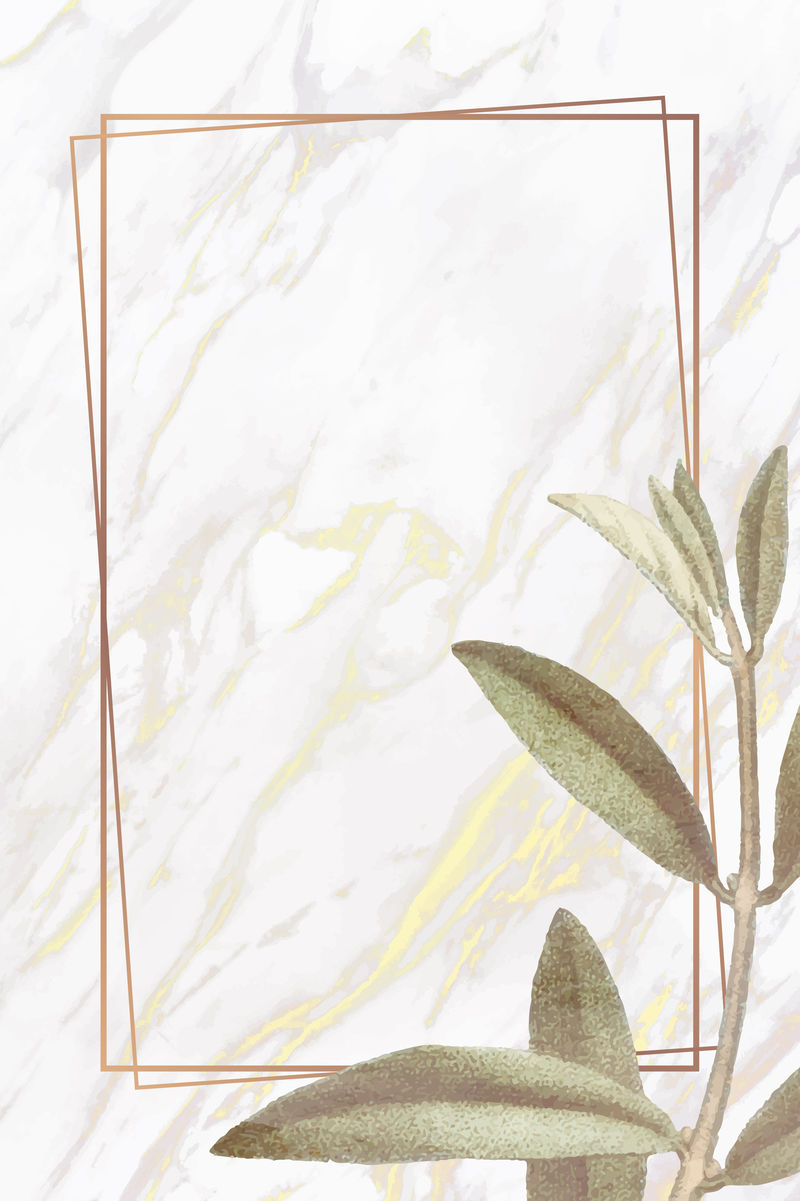 白色大理石背景向量上带叶子的金色框架