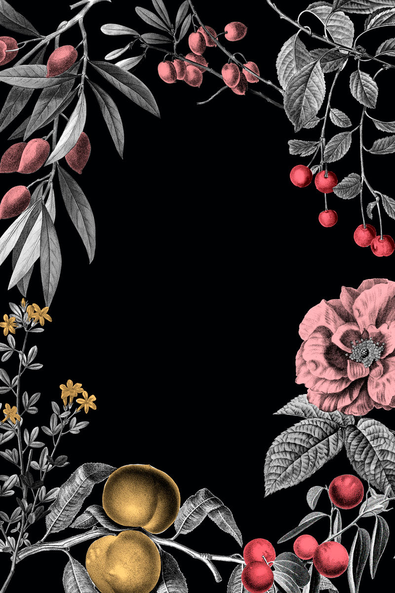 玫瑰框架复古花卉矢量插图和黑色背景上的水果