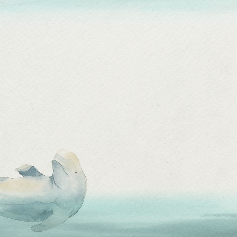水彩画白鲸在水面横幅模板
