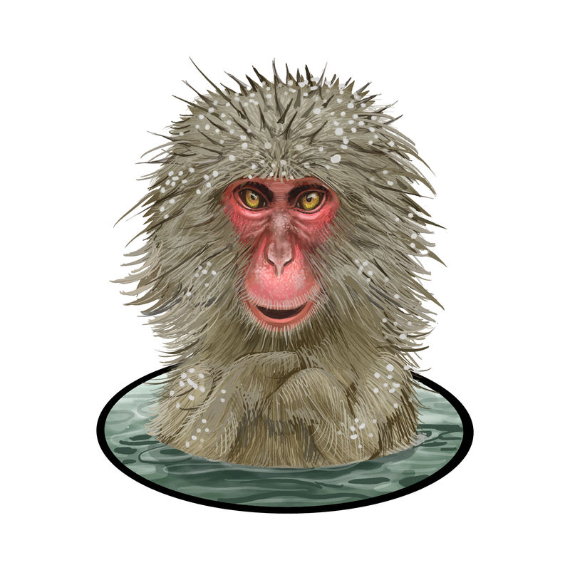 Onsen插图中的日本猕猴