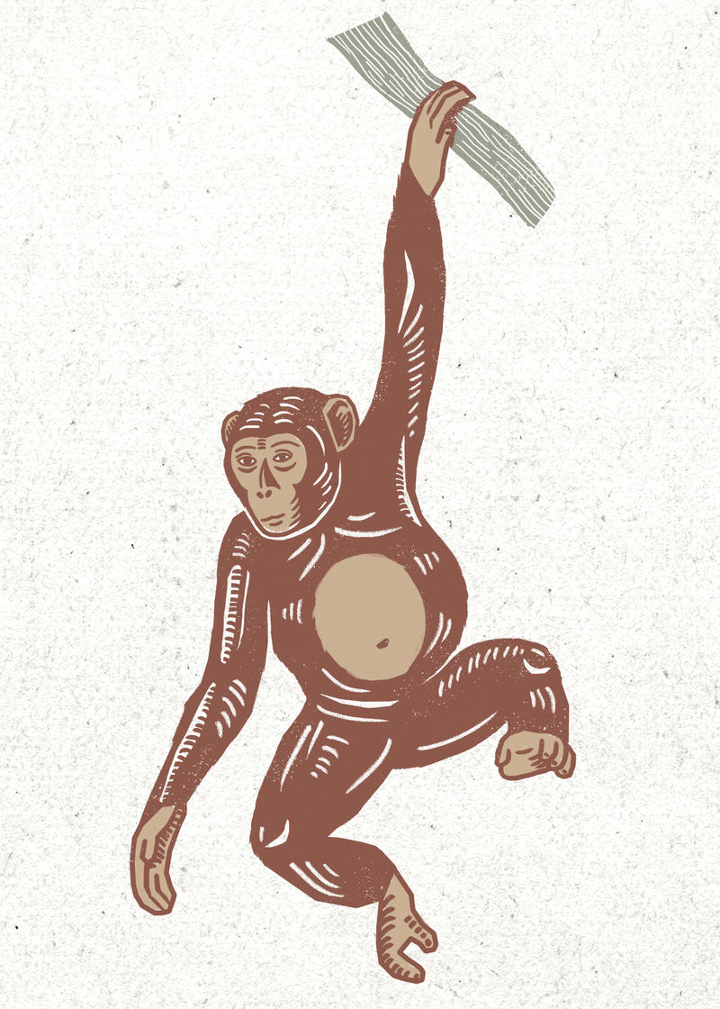 棕色猴子复古linocut图纸