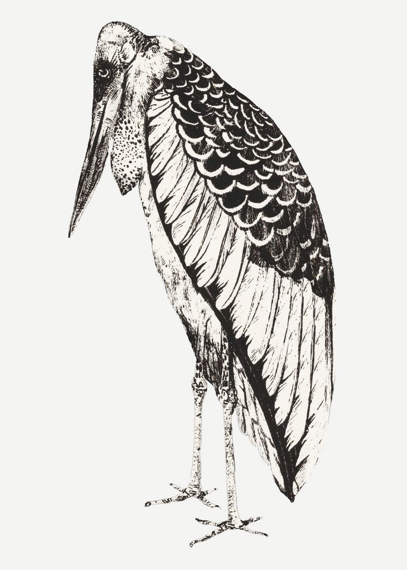 复古鹳鸟艺术印刷品psd由西奥·范·霍伊泰玛（Theo van Hoytema）的艺术作品混合而成