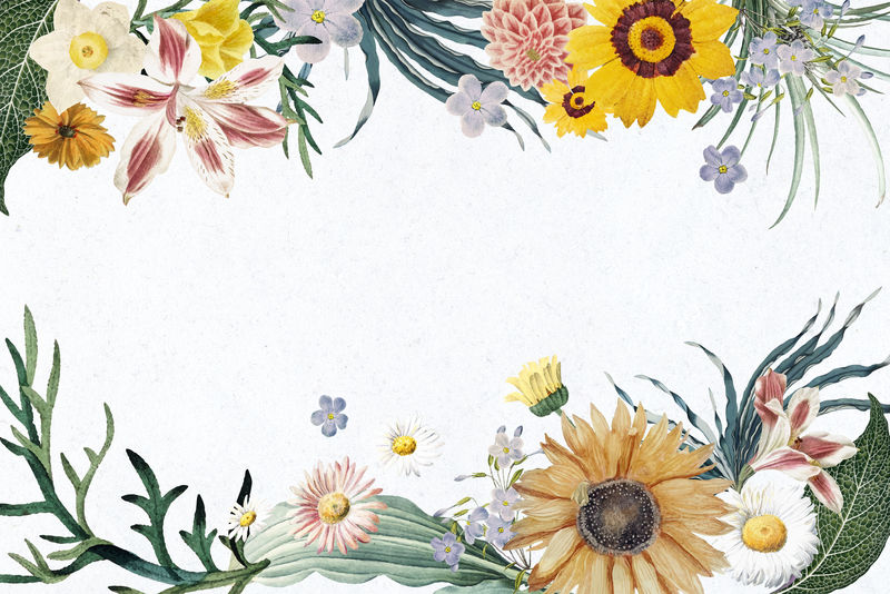 夏季花卉边框psd复古花卉插画框架