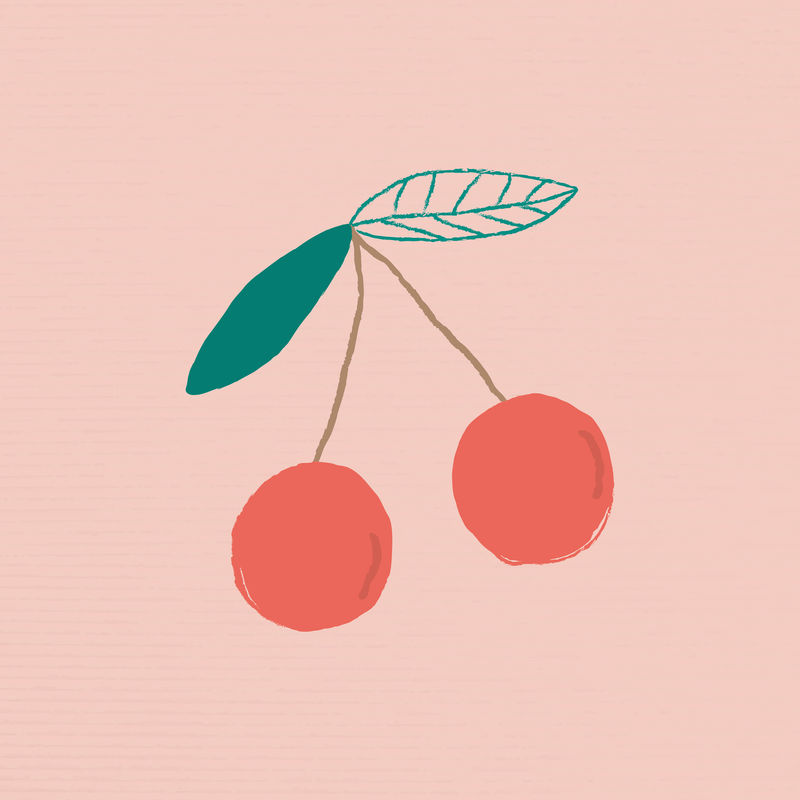 矢量手绘樱桃水果插图