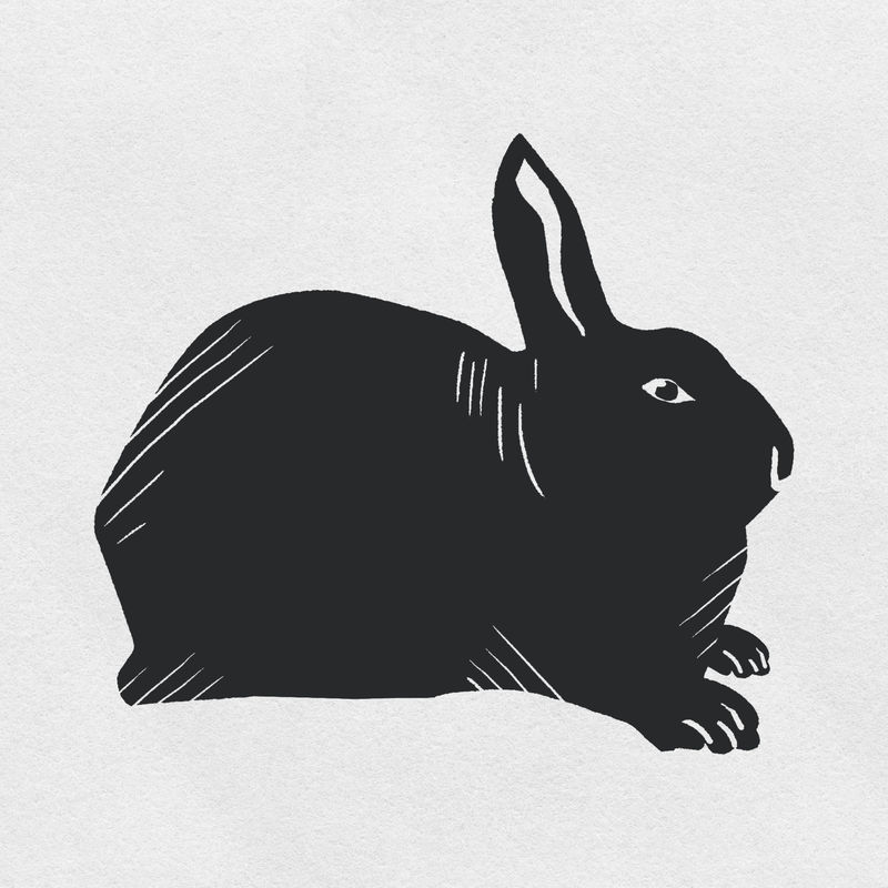 复古兔psd动物利诺科特模具图案剪贴画