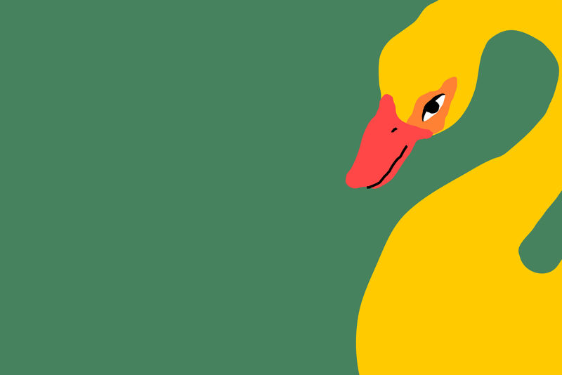 绿色背景psd与黄色天鹅可爱的动物插图