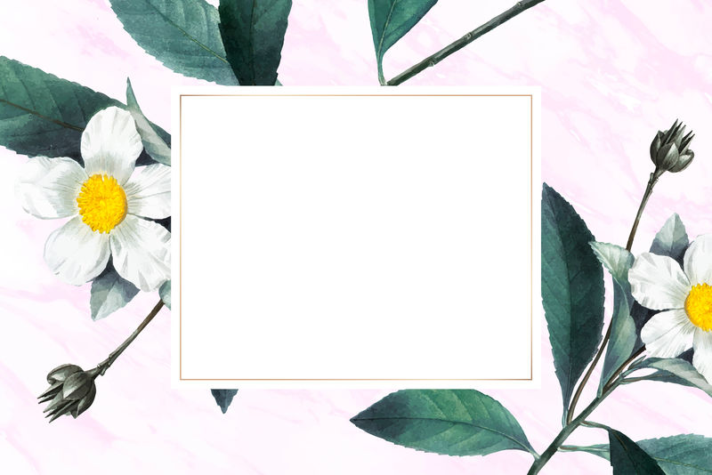 夏季花卉图案的空白框架向量