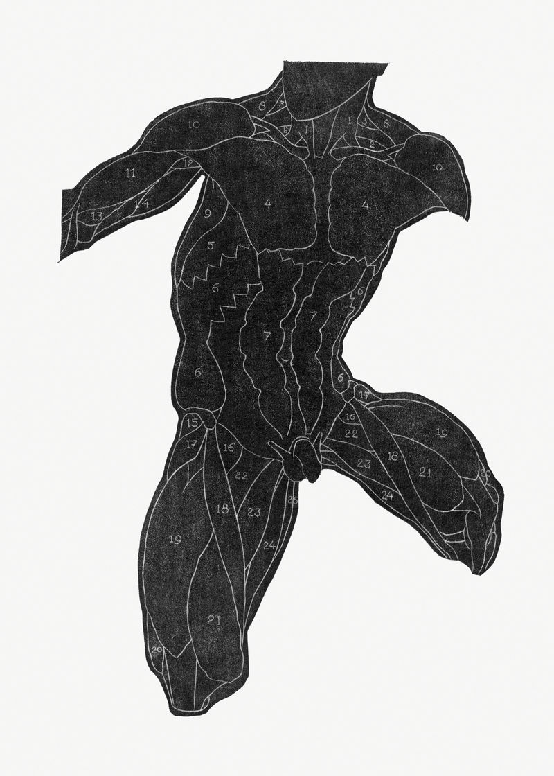 人体解剖学psd剪影由Reijer Stolk的艺术作品混合而成