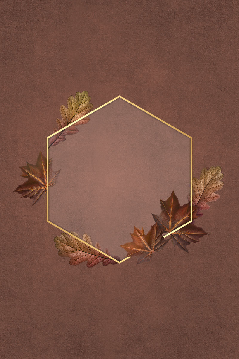 棕色叶子六边形金色框架插图