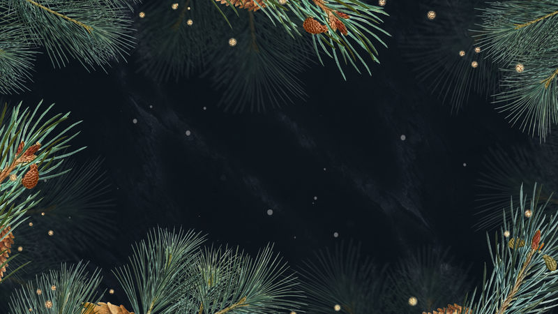 黑色背景上的节日圣诞框架
