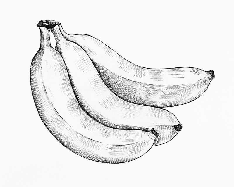 三根手绘鲜香蕉