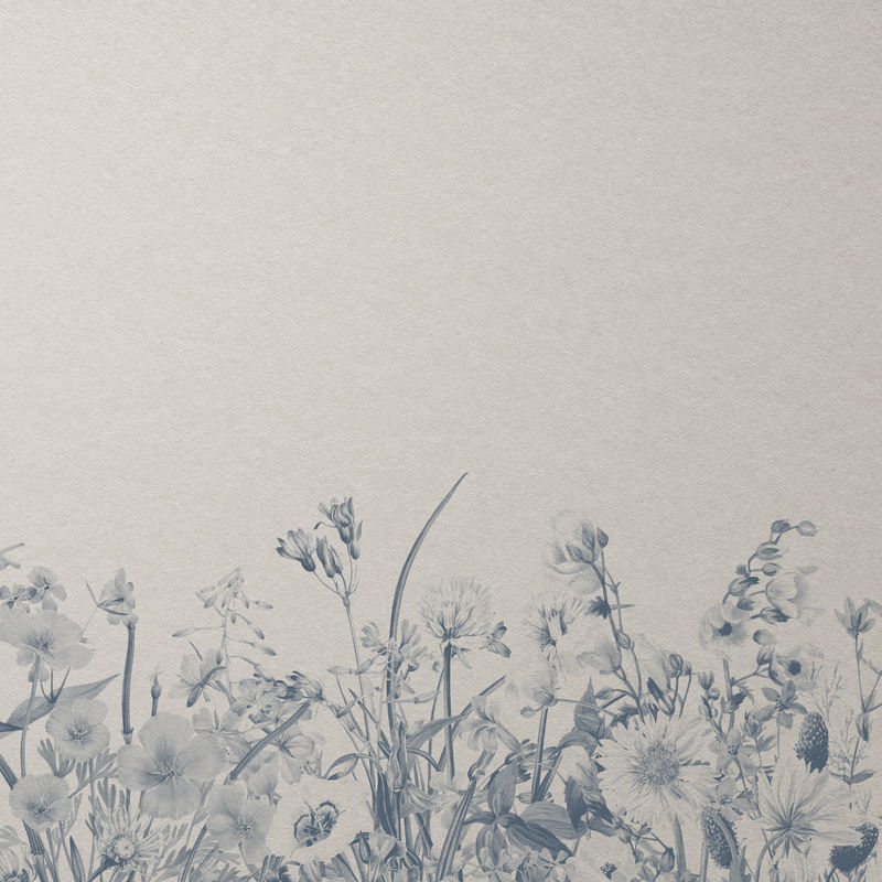野生彩色花卉复古单色背景插图