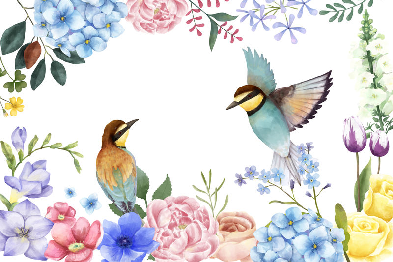 彩色框架与鸟类花卉插画