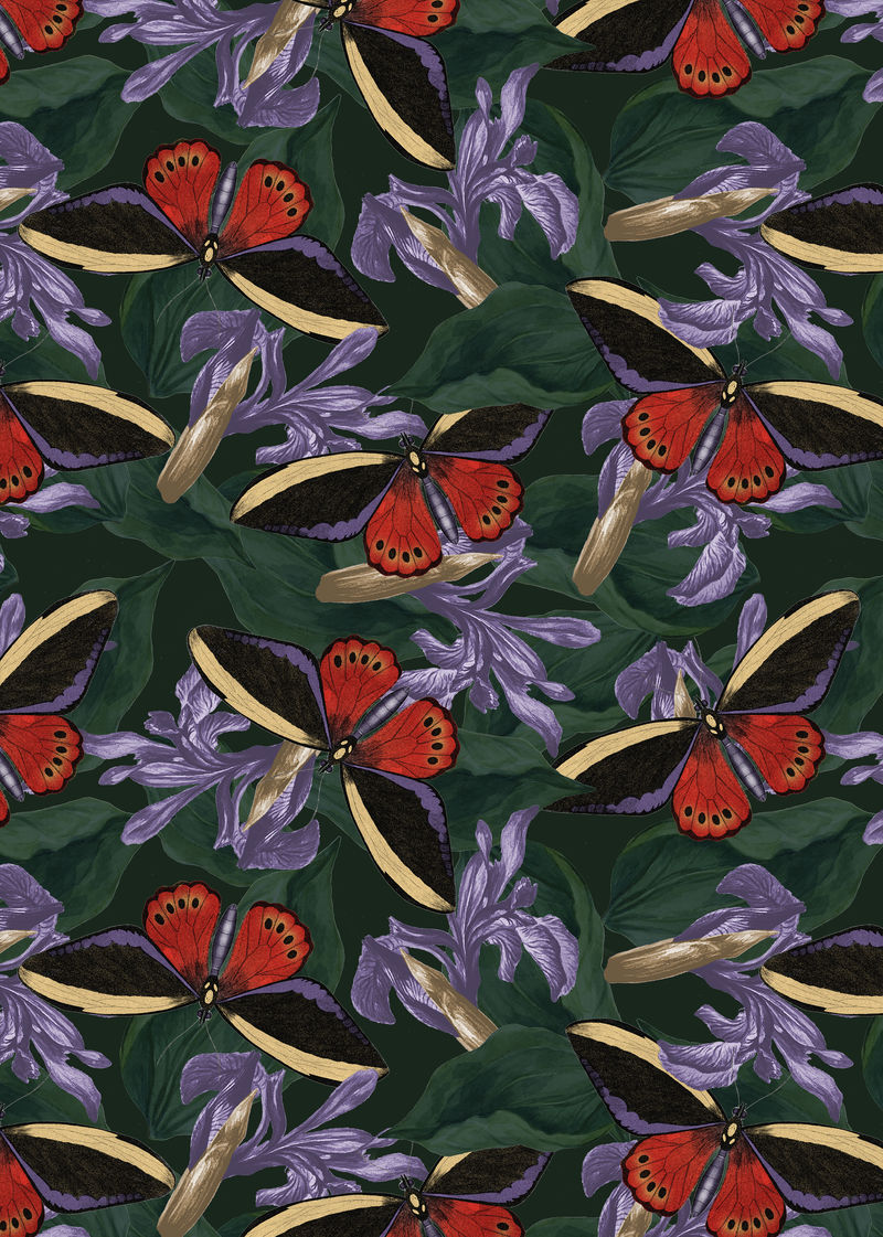 蝴蝶花抽象背景与设计空间从自然主义者的混音\u0026#39；乔治·肖的《美国杂集》