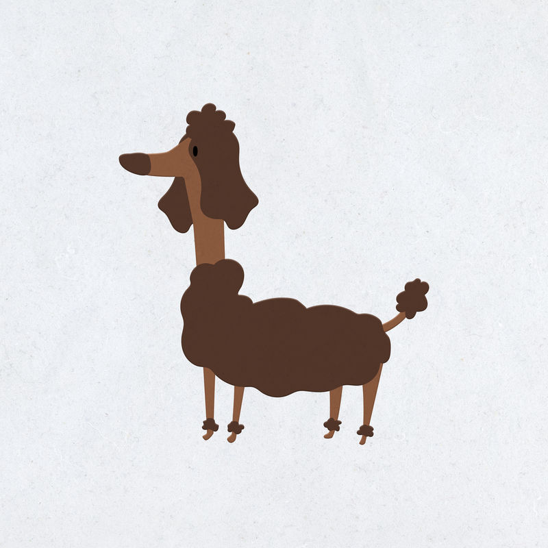 可爱的棕色卷毛狗的平面插图