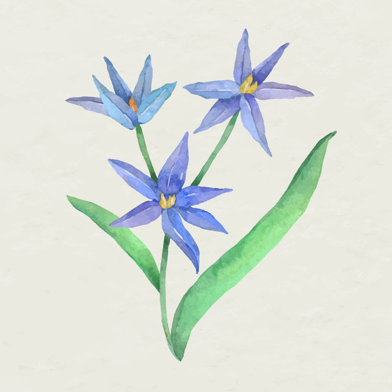 复活节花卉设计元素矢量水彩插图