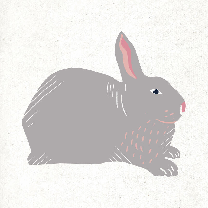 灰兔动物矢量复古手绘插图