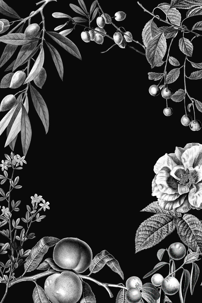 黑色背景上的Rose frame vector复古植物插图和水果