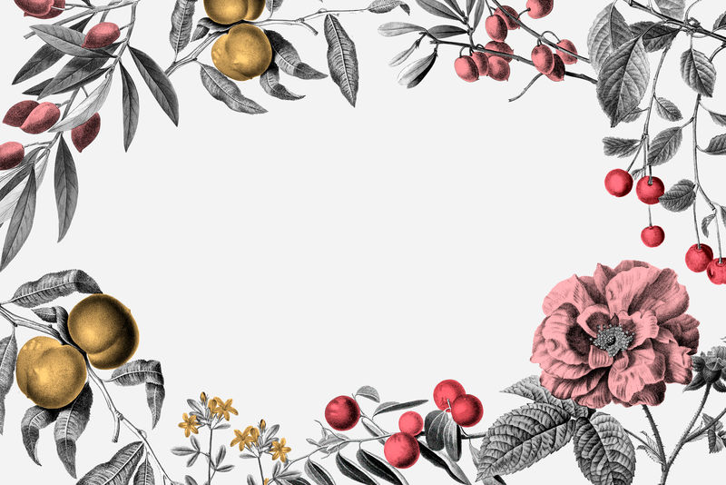白色背景上的玫瑰色框架矢量粉色复古植物插图和水果