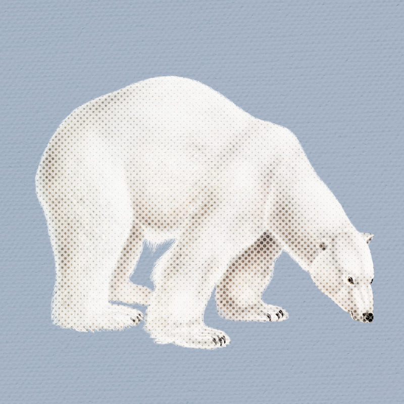 手绘北极熊半色调风格插图