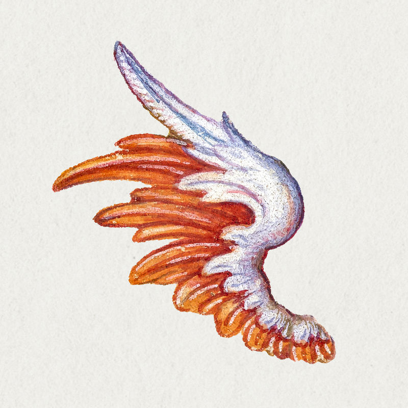 红色和靛蓝神话翅膀绘画装饰