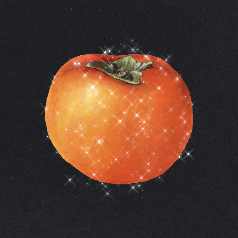手绘起泡柿子设计元素